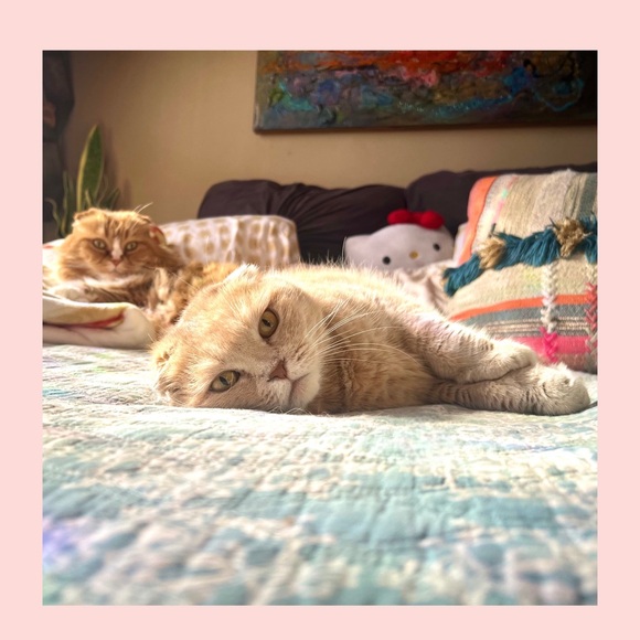 Hi friend! 💝🖤💫 - Picture 8 of 9